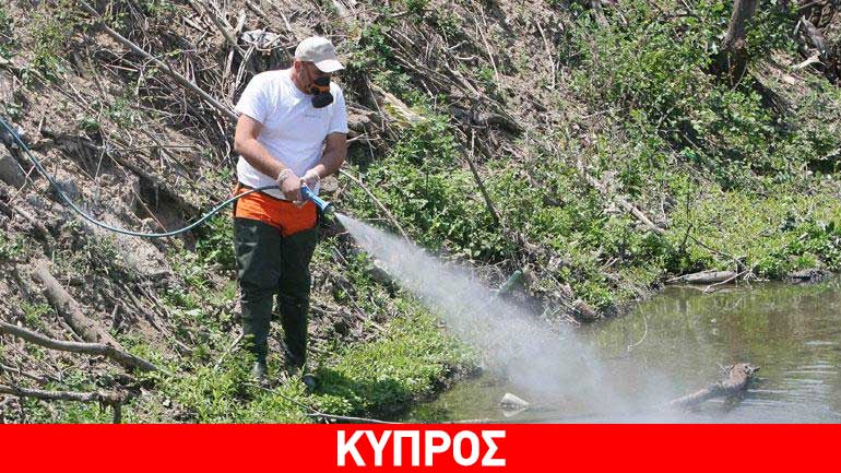 Κύπρος: Ειδικός εμπειρογνώμονας για τα κουνούπια στην Λάρνακα Κύπρος: Ειδικός εμπειρογνώμονας για τα κουνούπια στην Λάρνακα