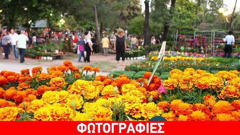 «Πλημμύρισε» το πάρκο του ΟΣΕ στην Καλαμάτα με χρώματα και αρώματα