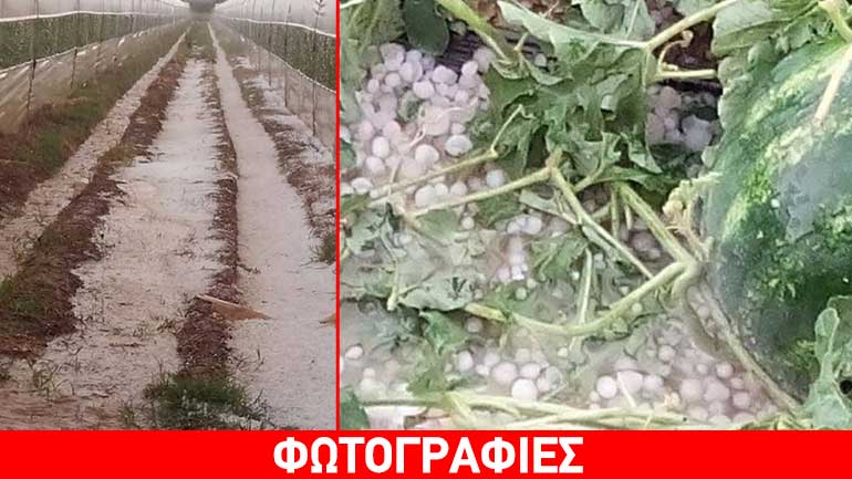Ηλεία: Μεγάλες καταστροφές από χαλαζοπτώσεις στον κάμπο