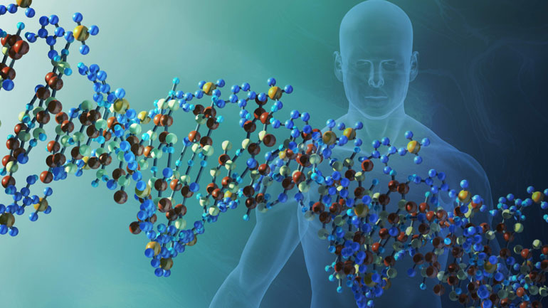 Τα γονίδια της εξαπάτησης και της συνεργασίας σε μια εξελισσόμενη κοινωνία Τα γονίδια της εξαπάτησης και της συνεργασίας σε μια εξελισσόμενη κοινωνία