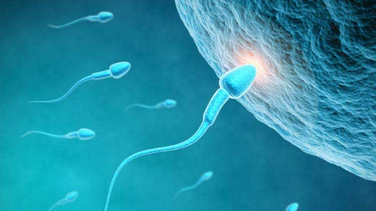 Τα παρασιτοκτόνα των φρούτων και των λαχανικών σχετίζονται με κακή ποιότητα σπέρματος