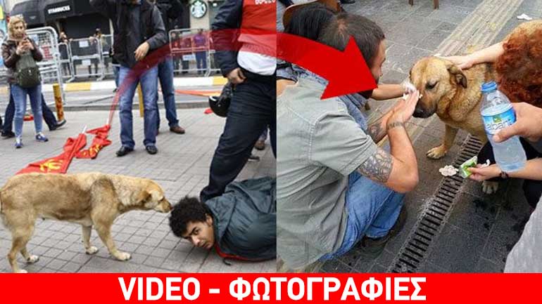 Τουρκία: Αστυνομικός χτυπά σκύλο στην πλατεία Ταξίμ Τουρκία: Αστυνομικός χτυπά σκύλο στην πλατεία Ταξίμ