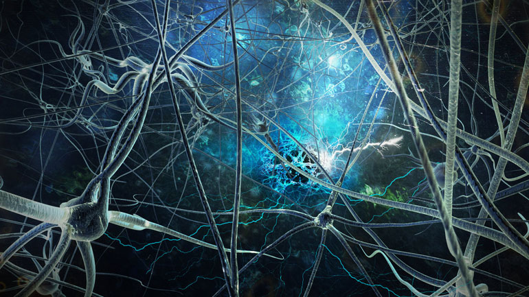 Τα γονίδια του μπαμπά υπερισχύουν των γονιδίων της μαμάς Τα γονίδια του μπαμπά υπερισχύουν των γονιδίων της μαμάς