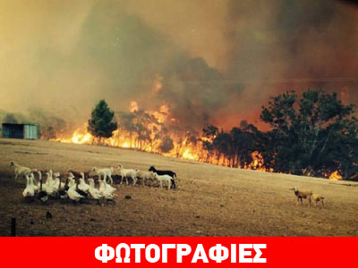 Αυστραλία: Μαίνονται οι πυρκαγιές στο νότιο τμήμα της χώρας Αυστραλία: Μαίνονται οι πυρκαγιές στο νότιο τμήμα της χώρας