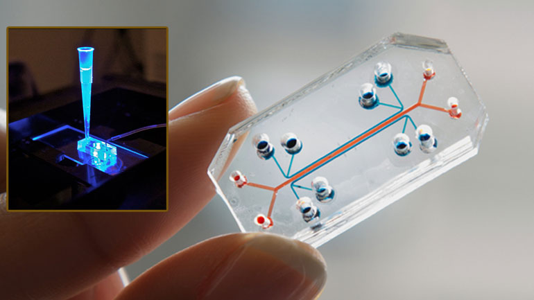 Μια «καρδιά» χτυπάει πάνω σε ένα «τσιπάκι»