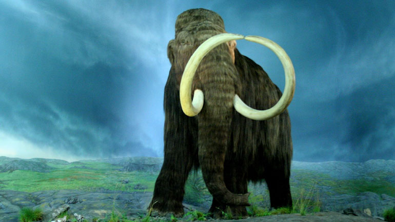 Ένα βήμα πιο κοντά στη «νεκρανάσταση» του μαμούθ Ένα βήμα πιο κοντά στη «νεκρανάσταση» του μαμούθ