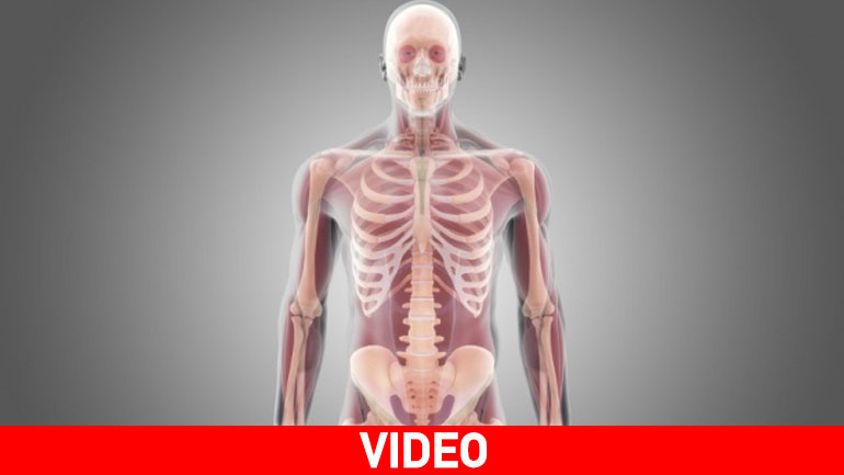 Η πρώτη μεταμόσχευση ανθρώπινου κεφαλιού μπορεί να γίνει σε δύο χρόνια Η πρώτη μεταμόσχευση ανθρώπινου κεφαλιού μπορεί να γίνει σε δύο χρόνια