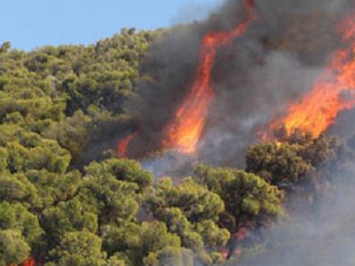 Σε εξέλιξη πυρκαγιά στη Ζάκυνθο Σε εξέλιξη πυρκαγιά στη Ζάκυνθο