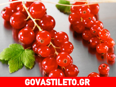 Τι πρέπει να τρώτε για να παραμείνετε νέοι Τι πρέπει να τρώτε για να παραμείνετε νέοι