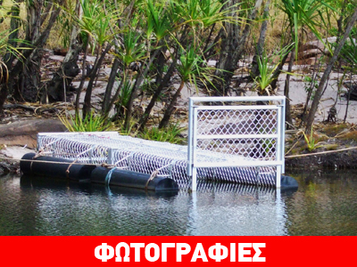 Τοποθετήθηκαν οι παγίδες για τον Σήφη Τοποθετήθηκαν οι παγίδες για τον Σήφη