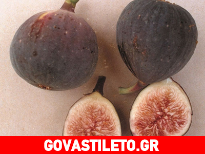 Για απαλή επιδερμίδα σε αγκώνες και γόνατα δοκίμασε το… σύκο! Για απαλή επιδερμίδα σε αγκώνες και γόνατα δοκίμασε το… σύκο!