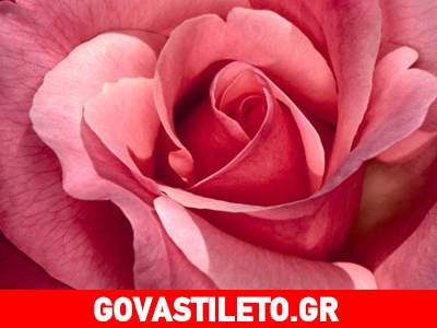 Πώς να φτιάξεις υπέροχο ενυδατικό χειλιών με τριαντάφυλλο