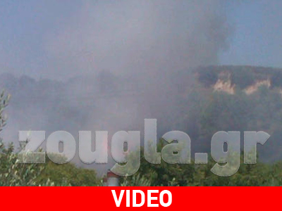Σε εξέλιξη πυρκαγιά στην Εύβοια