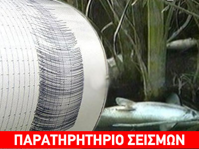 Η υπόθεση των ψόφιων ψαριών στον Μαλιακό