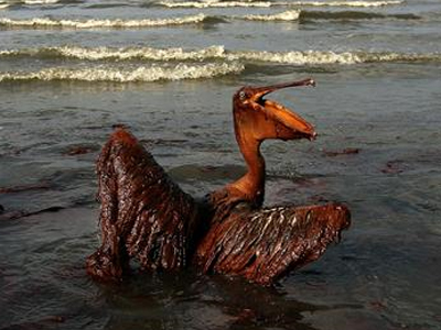 Ευθύνες στην κυβέρνηση Ομπάμα για την πετρελαϊκή ρύπανση Ευθύνες στην κυβέρνηση Ομπάμα για την πετρελαϊκή ρύπανση