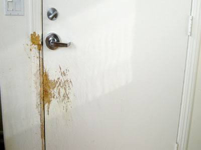 «Ποντικοί» στη Διεύθυνση Αλλοδαπών Άρτας «Ποντικοί» στη Διεύθυνση Αλλοδαπών Άρτας