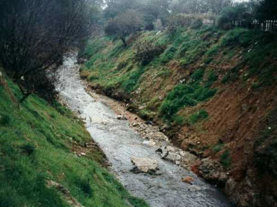 Την πρόδωσε η μνήμη της και βρέθηκε νεκρή Την πρόδωσε η μνήμη της και βρέθηκε νεκρή