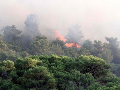 Κι άλλη φωτιά στη Θεσπρωτία