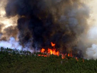 Πυρκαγιά στη Θήβα Πυρκαγιά στη Θήβα