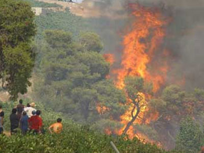 Φωτιά και στη Χαλκιδική