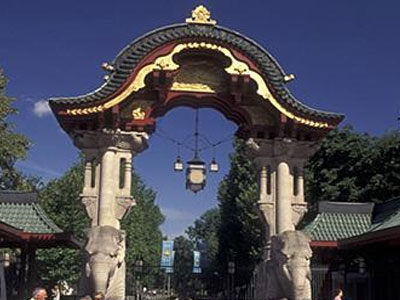 Καλύτερα νεκρός… παρά σε ζωολογικό κήπο