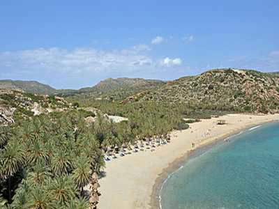 Κινδυνεύει το Φοινικόδασος στο Βάι