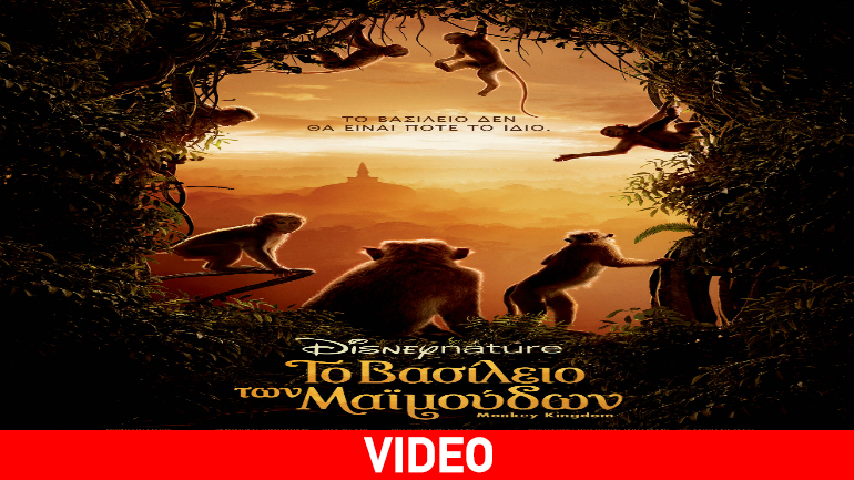 Το Βασίλειο των Μαϊμούδων