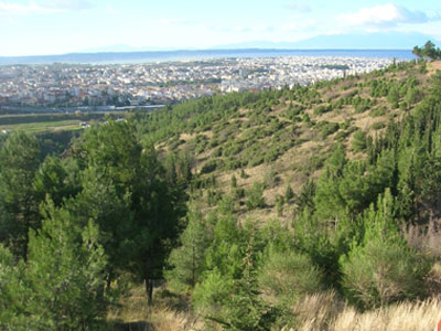 Προετοιμασία για την αντιπυρική θωράκιση του Σέιχ Σου