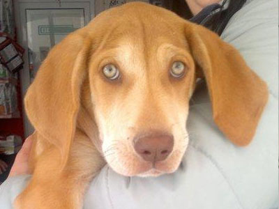 Χαρίζεται ο… «Δεν υπάρχει»