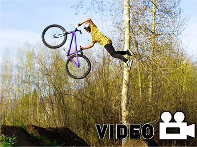 Ιπτάμενη παρέα