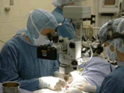 Γονιμότητα: Μεταμόσχευση μήτρας πολύ σύντομα!