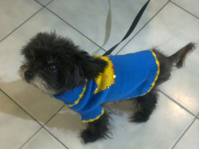 Μίνι κούκλος χαρίζεται!‏