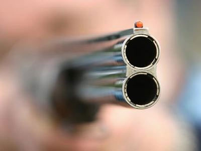 Δύο σκυλιά νεκρά μετά από πυροβολισμούς στη Γαστούνη