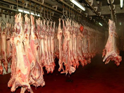 Απαιτούν λύση για το σφαγείο