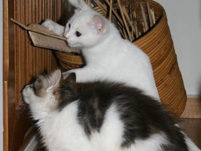 Ζητούν μια ζεστή αγκαλιά