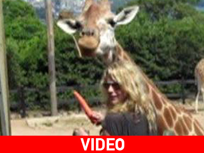 Η Ke$ha στον ζωολογικό κήπο