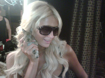 Paris η… κουνελομάνα