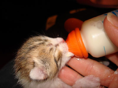 Ζητούν μια δεύτερη ευκαιρία