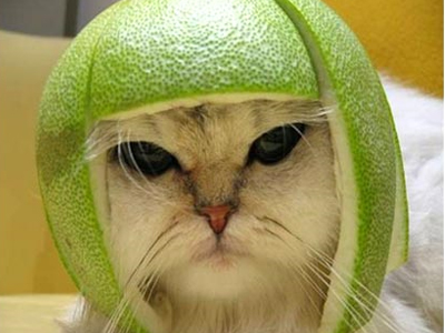 Κάνε την αποτυχία θρίαμβο