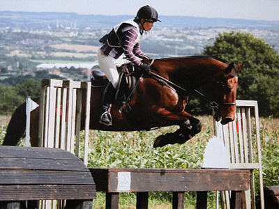 Έβαλε τέλος στη ζωή της μετά το θάνατο του αλόγου της
