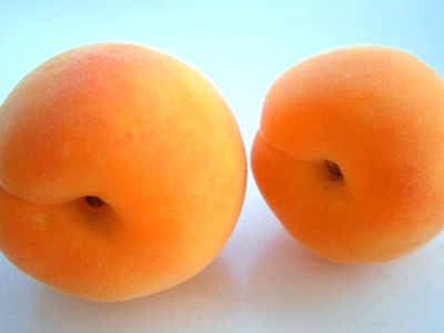 Ρίκοκο, βερίκοκο