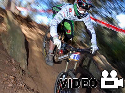 Ούτε ψύλλος…