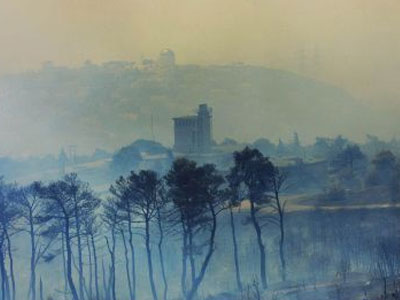 Ευθύνες για το παρανάλωμα στον κυβερνητικό μηχανισμό από την WWF