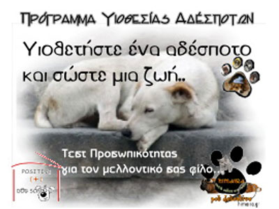 Τι πρέπει να σκεφτείτε πριν «υιοθετήσετε» ένα αδέσποτο