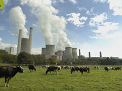 ΟΗΕ: Τεράστιες οι συνέπειες από την υποβάθμιση του περιβάλλοντος