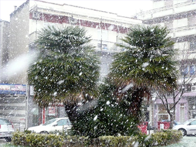 ΤΑ ΝΕΑ ΤΟΥ ΜΠΙ-ΚΟΥ-ΤΙ