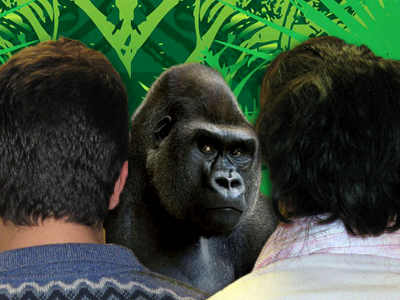 07:00-09:00: «Πρώτοι… καλημέρα» με τους Χ. Παναγόπουλο και Μ. Σκέντζου