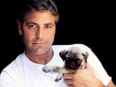 Η «μοναχική» ζωή του George Clooney