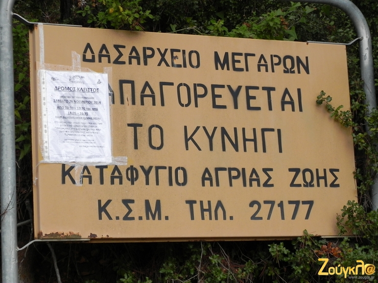 Μπορεί το κυνήγι να απαγορεύεται όμως οι πυροβολισμοί από τα αγωνιστικά ήταν το κάτι άλλο...