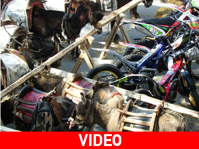 Το video της zougla.gr για το Red Bull Donkey Cross